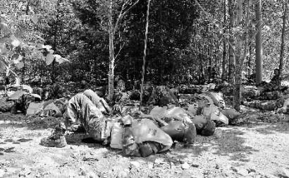 延边通缉令悬赏,延边警方悬赏