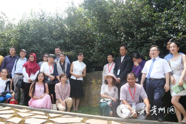 花溪久安古茶景区,贵州花溪县久安古茶