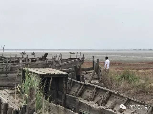 辽宁营口北海风景区,营口北海风景区之旅感受与收获