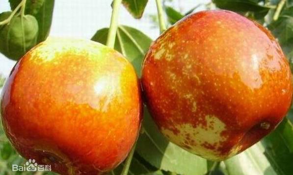 不服丨在淘宝搜宁夏，出来的竟是……其实我们的好东西何止这些？