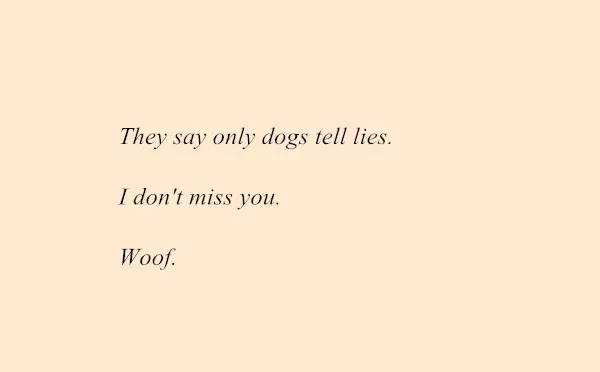 对校园表达情感的三行情诗,写给校园三行情诗