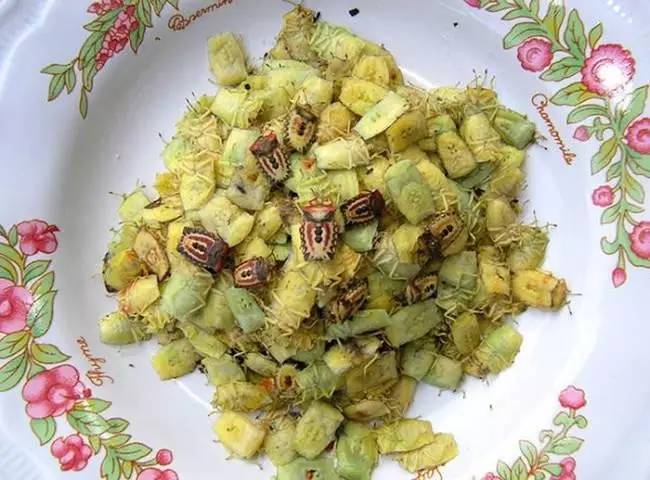 这些稀奇古怪的食物你敢尝试吗,34个奇怪食物