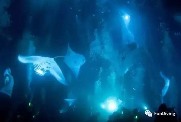 船宿推荐及价格,船宿推荐