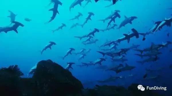 船宿推荐及价格,船宿推荐