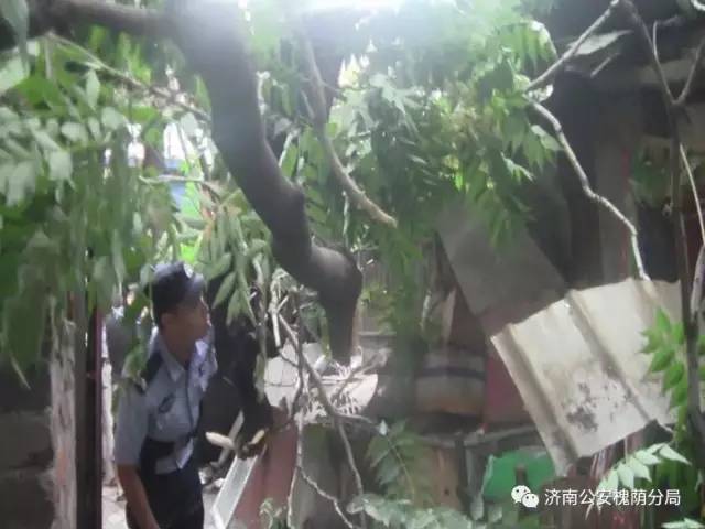 守护西部泉城槐荫基层警讯｜第四期