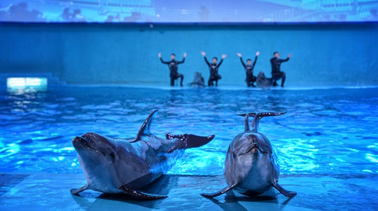 南昌万达文化旅游城解读,王健林投资南昌万达广场旅游