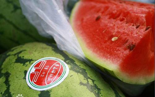 不服丨在淘宝搜宁夏，出来的竟是……其实我们的好东西何止这些？