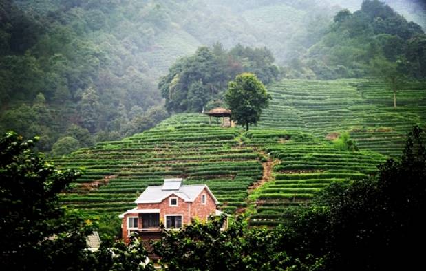 杭州g20之最,g20杭州生活