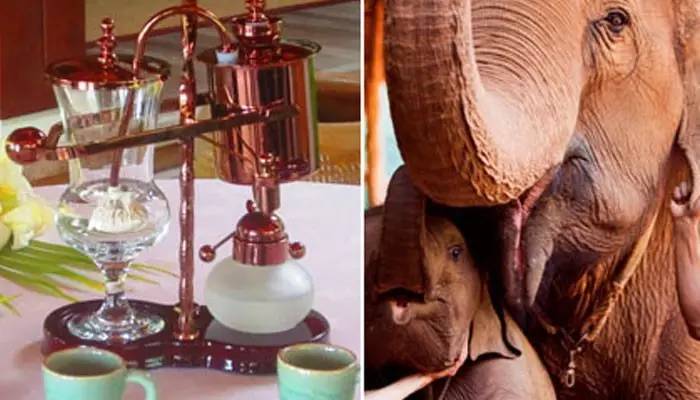 「泰·好食」作为咖迷，这些泰国咖啡文化您得知道