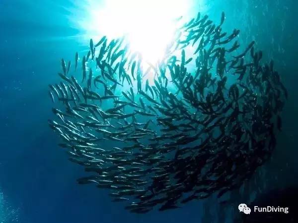 船宿推荐及价格,船宿推荐