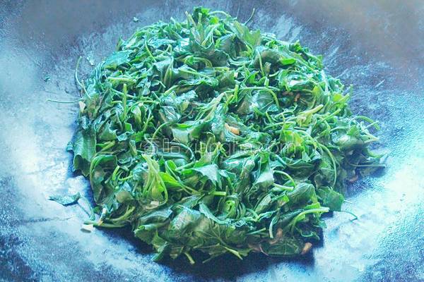 野菜灰灰菜的做法大全,东北野菜灰菜