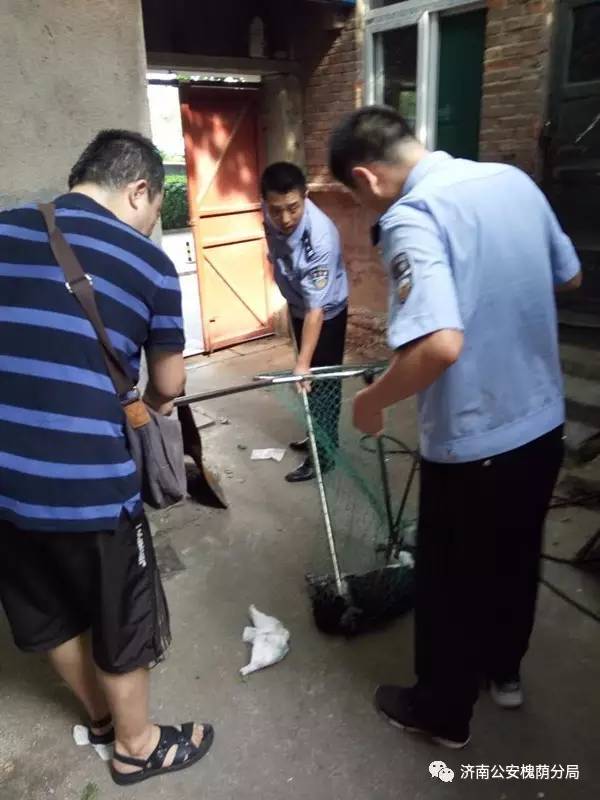 守护西部泉城槐荫基层警讯｜第四期