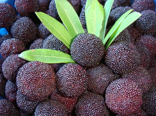 舟山开挂！三年后在舟山生活将变成这样……