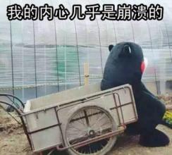 二次元cos日本,b站的二次元cos