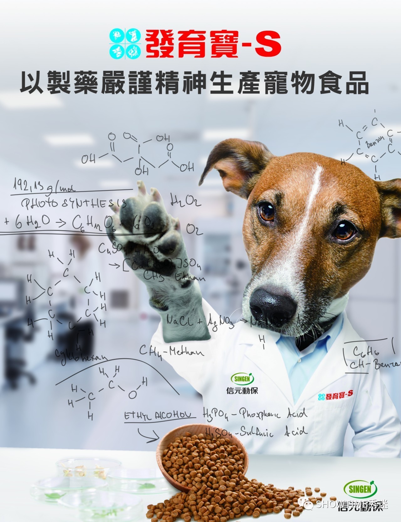 狗粮品牌系列展示设计,狗粮宣传设计