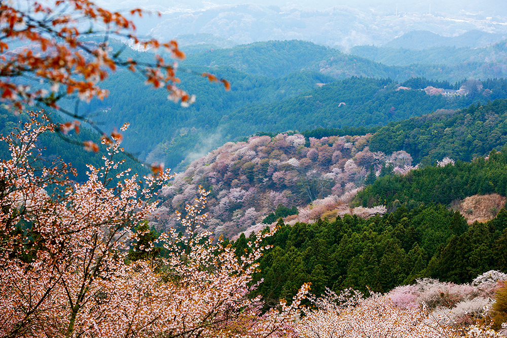 佳能eos760d怎么调整参数,佳能eos760d和700d区别