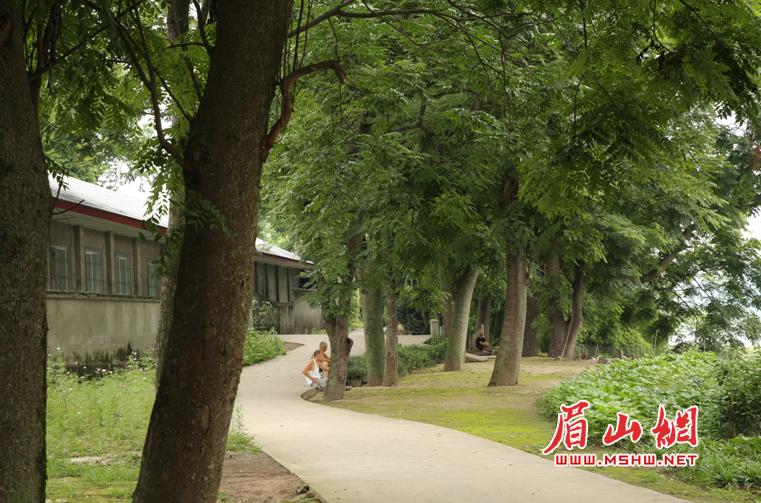 青神汉阳：记得住乡愁的村落影像