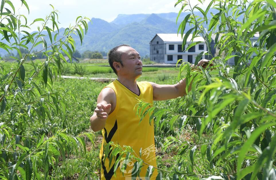 尝“稀奇”尝出赚钱门路