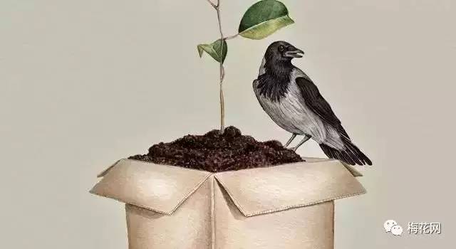 秀米微信公众号排版教程,微信公众号排版教程