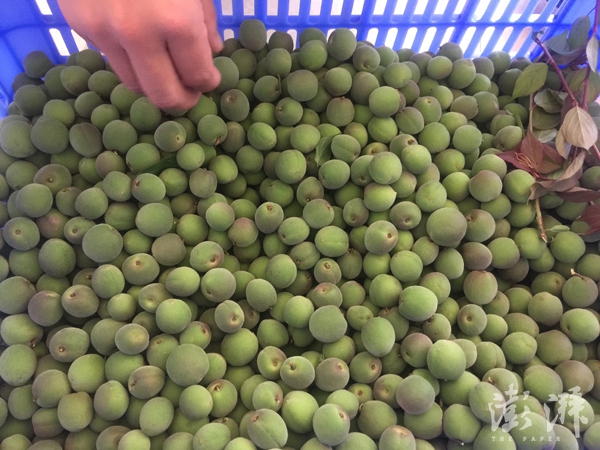 翼虎·山河·寻路胡焕庸线上的中国｜玉龙县：电商上下求索