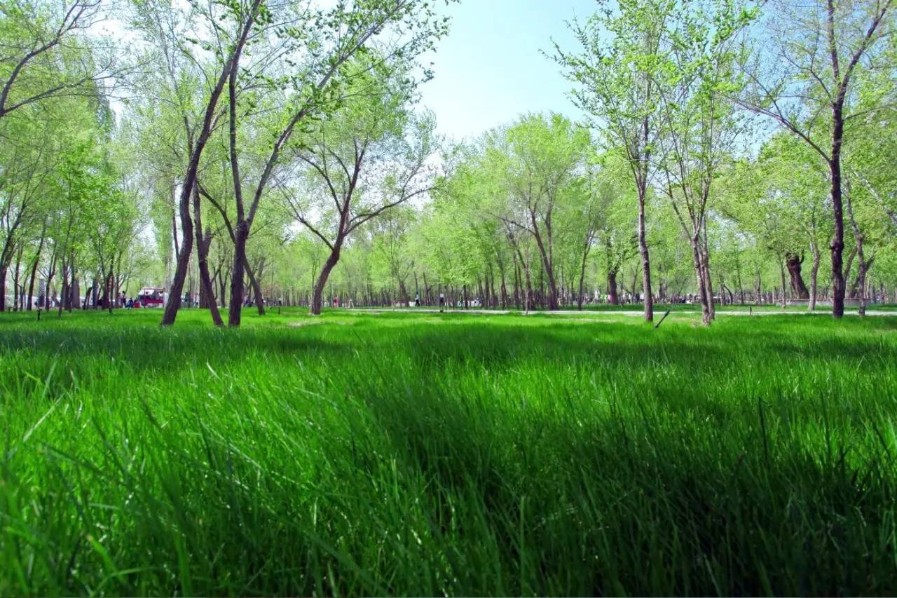 昌吉丝路庭州嘉年华2018,昌吉芸农庄旅游攻略