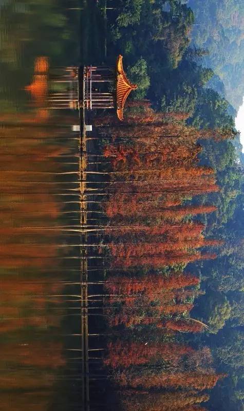 佛山旅游地图手绘,佛山地图全图放大100倍