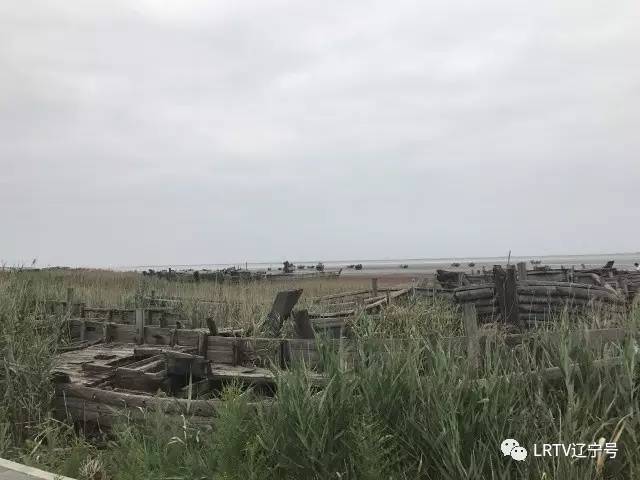 辽宁营口北海风景区,营口北海风景区之旅感受与收获