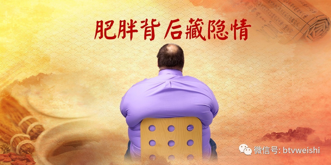 养生堂肥胖对健康的影响,养生堂肥胖背后的脏腑危机