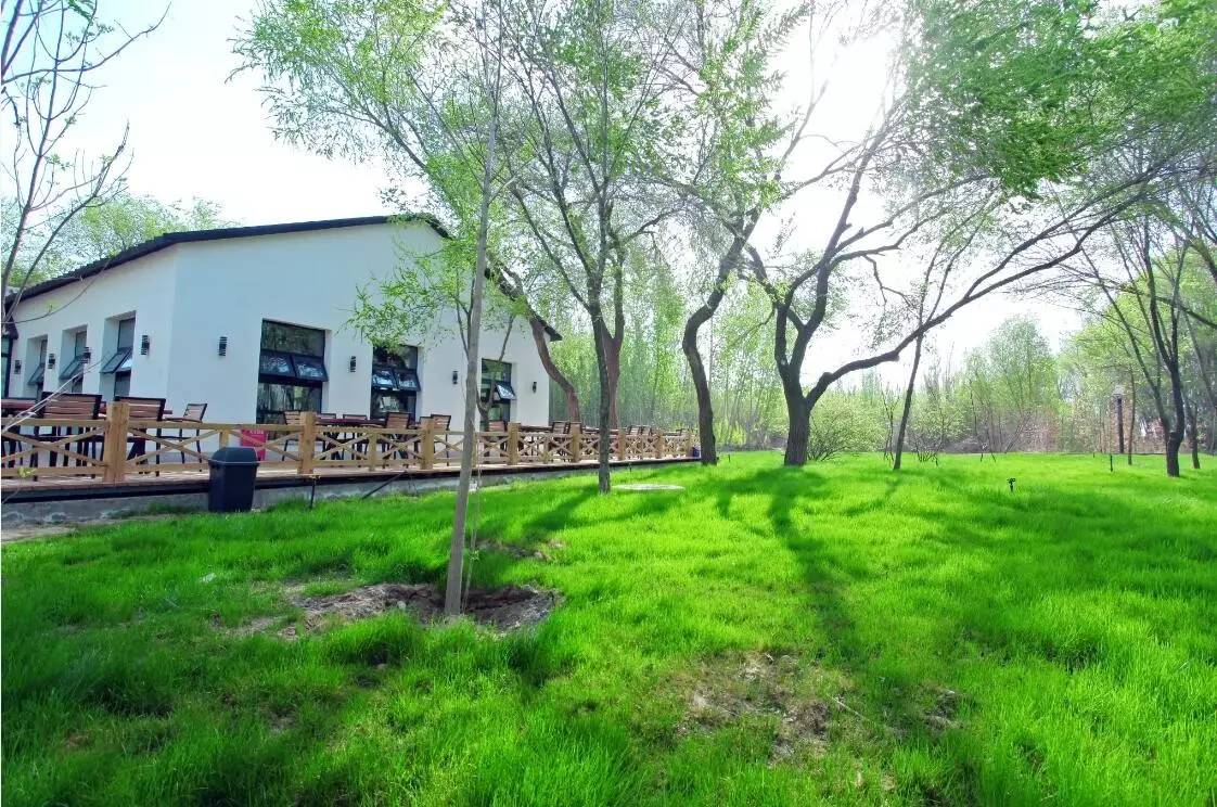 昌吉丝路庭州嘉年华2018,昌吉芸农庄旅游攻略