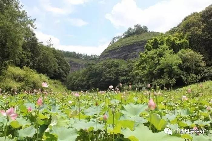 「走遍江西100县」赣县区：客家先民南迁第一站，世界客家摇篮！