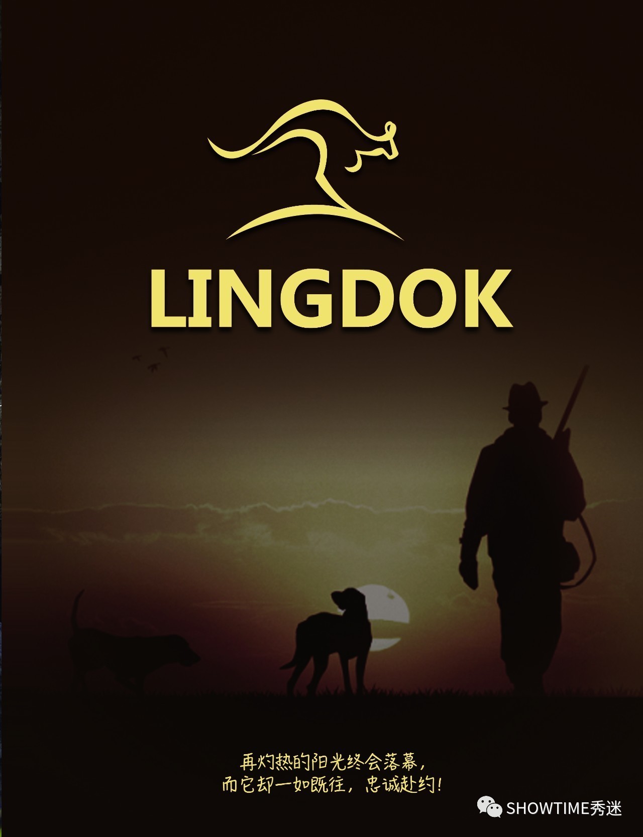 狗粮品牌系列展示设计,狗粮宣传设计