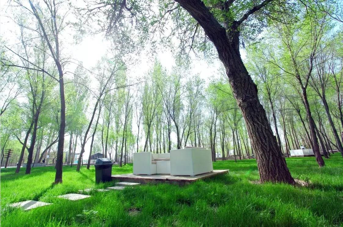 昌吉丝路庭州嘉年华2018,昌吉芸农庄旅游攻略