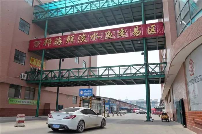 海鲜水产生意一年赚多少钱,北方做海鲜生意利润更大