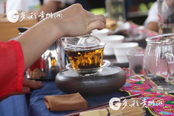 花溪久安古茶景区,贵州花溪县久安古茶