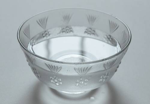 家里垃圾桶小飞虫怎么消灭,室内垃圾桶吸引的小飞虫怎么解决