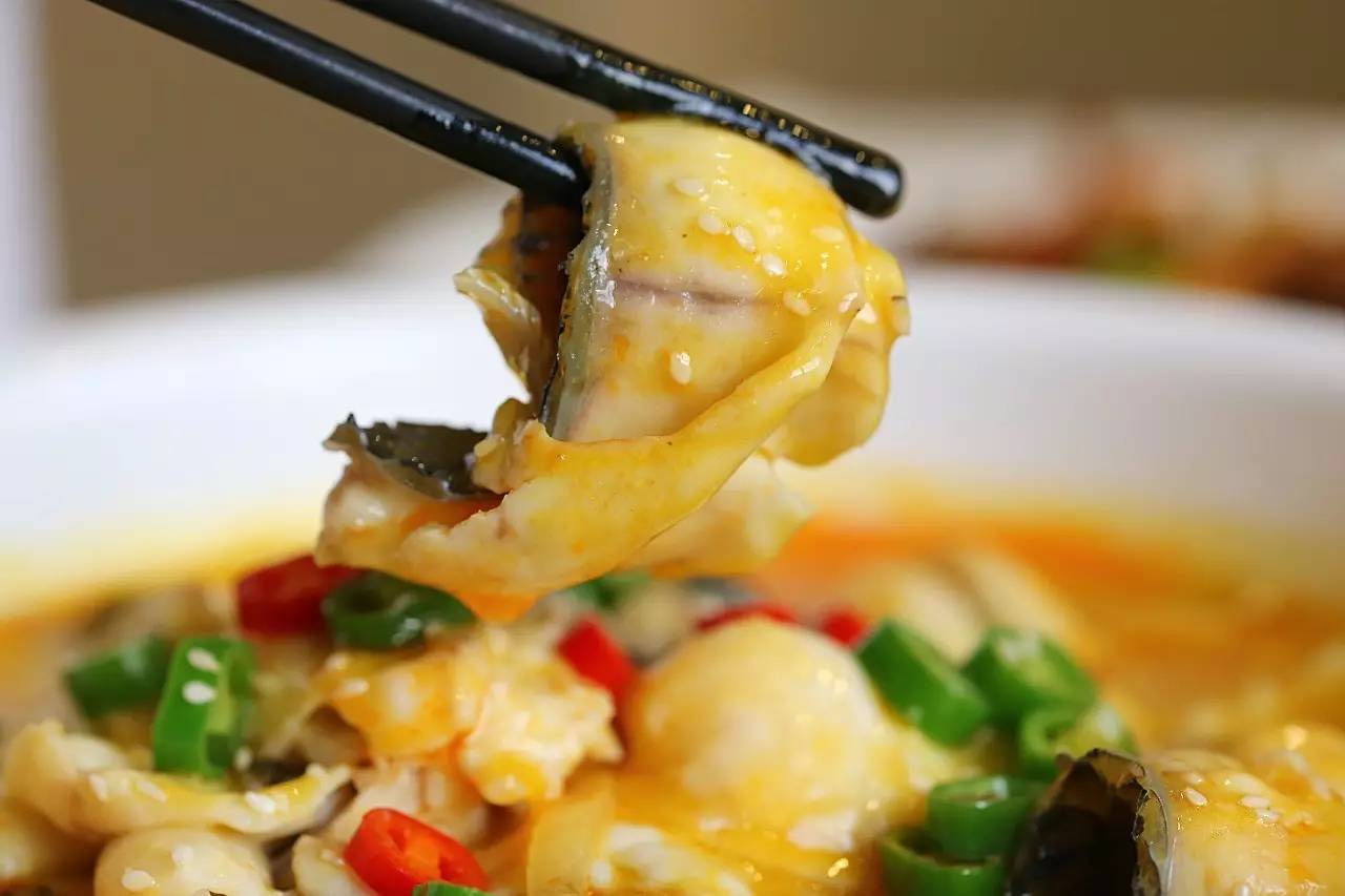 我敢保证,这是全汕头最好的“鸡店”!不按摩不看片,只叫①号鸡!