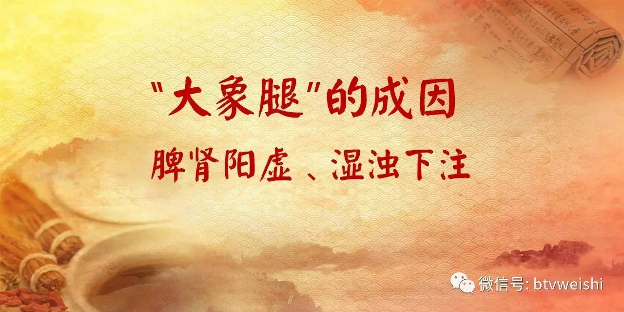 养生堂肥胖对健康的影响,养生堂肥胖背后的脏腑危机