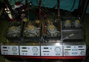 来了！建军节特别行动之探秘“主动脉夹层”