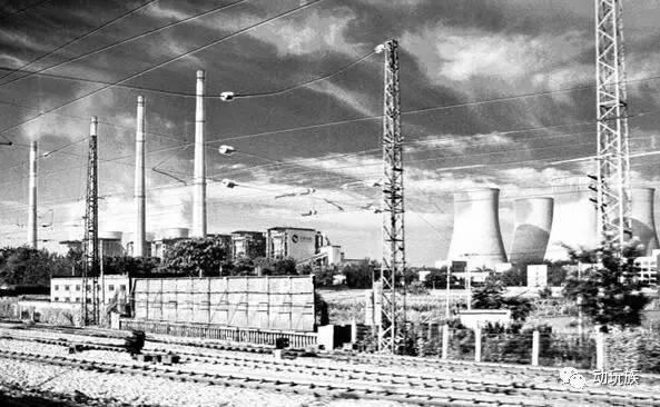 精灵宝可梦图鉴721只精灵,精灵宝可梦图鉴297