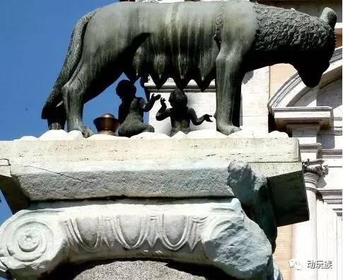 精灵宝可梦图鉴721只精灵,精灵宝可梦图鉴297