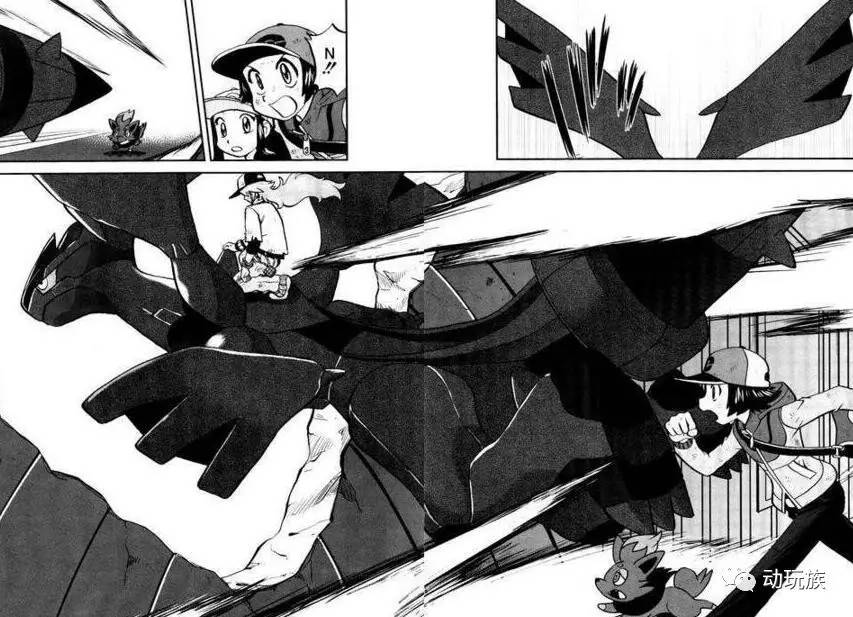 精灵宝可梦图鉴721只精灵,精灵宝可梦图鉴297