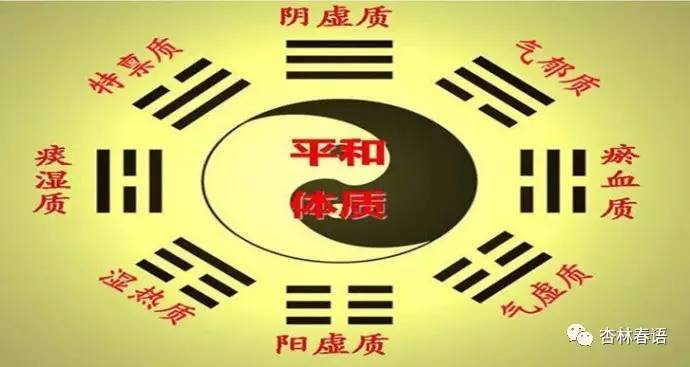 中医体质辨识九种体质ppt,中医养生学对体质的认识