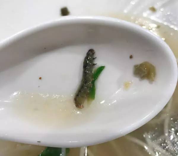 今朝上海｜永和大王、喜来稀肉相继被揭黑料，菜虫、疑似寄生虫横躺美食间，没想到网友的看法却截然相反！