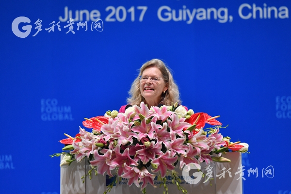 浠婂勾璐靛窞鏁板鑰冮,浠婂勾璐靛窞鏁板棰樼洰