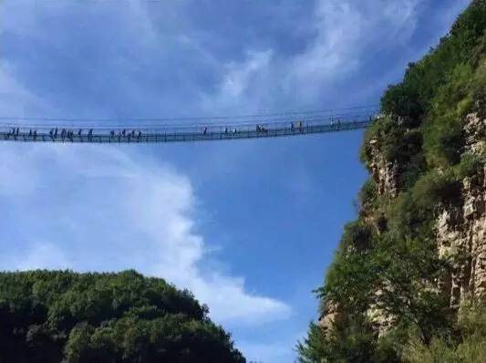 万亩森林玻璃桥,万亩荷花园玻璃栈道