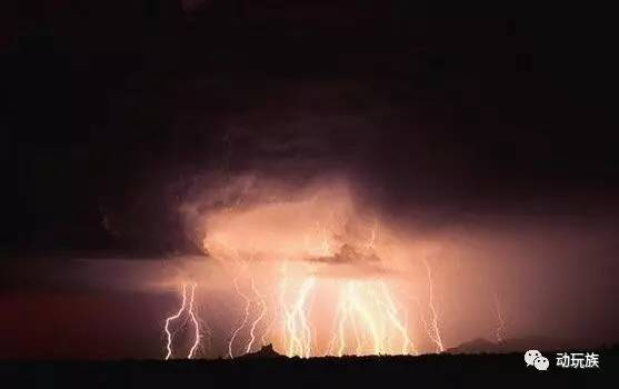 精灵宝可梦图鉴721只精灵,精灵宝可梦图鉴297