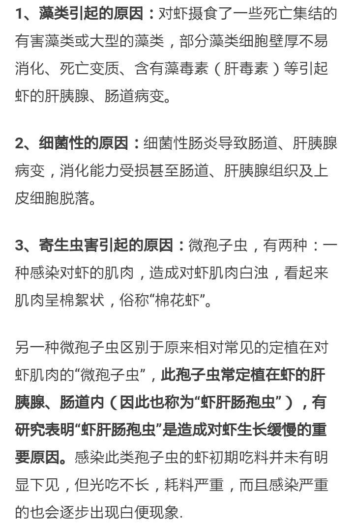 怎么治虾白便最有效,虾白便怎么治疗效果最好