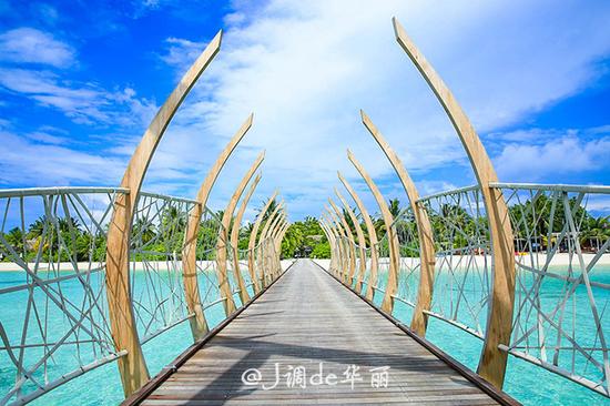 能吃遍全国美食的大学,吃遍全世界美食能去吗