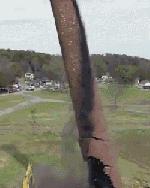 你家猫被人抓去画本子了！