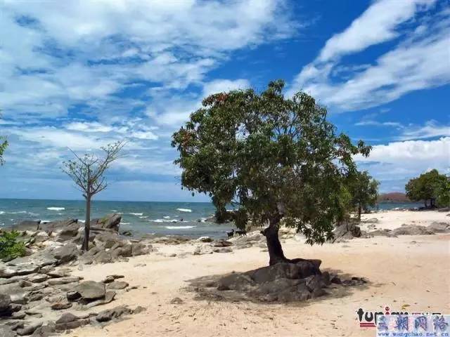 合肥大学生护照,合肥蜀山护照办理